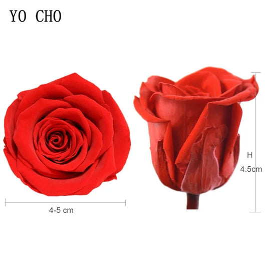 YO CHO 8PCS/Box A Eternal Rose Flower 4-5cm Preserved Fresh Flower Rose Valentine's Day Gift Wedding Thanksgiving Eternal Flower Good Vibrations