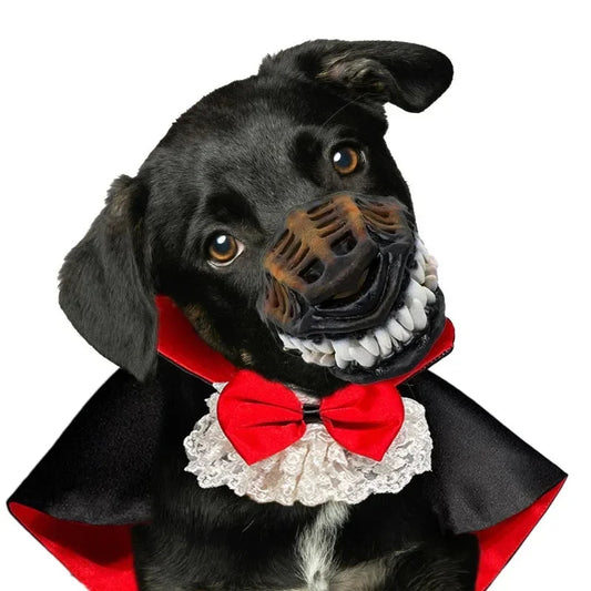 Halloween Pet Costumes Cosplay Vampire Cloak For Small Dog Cat Kitten Puppy Dress Kawaii Pet Clothes Cat Accessoties Gift Good Vibrations