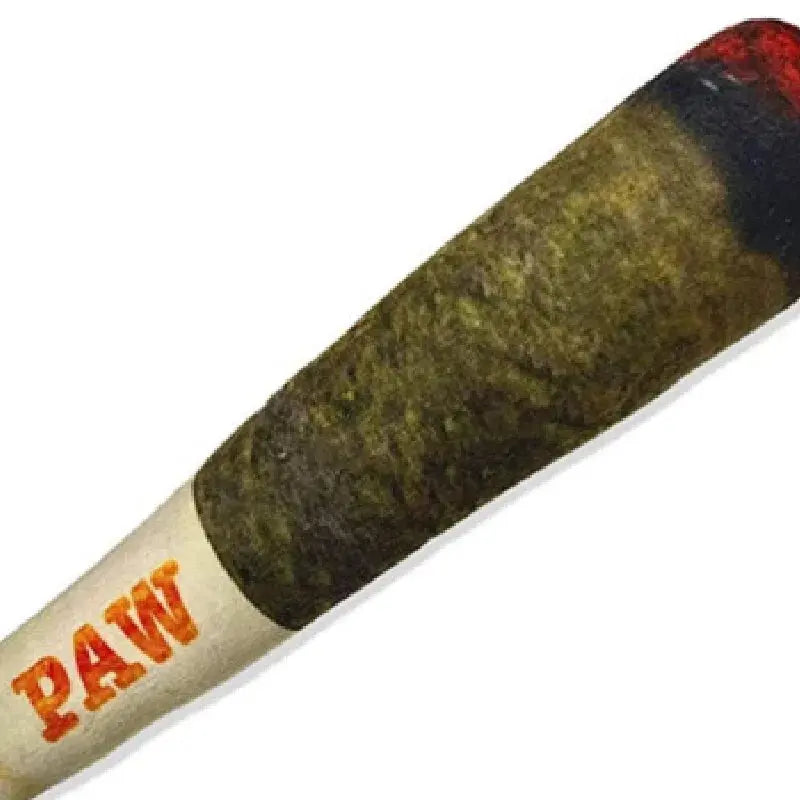 Interactive dog joint squeak toy shaped like a cigar in green with "PAW" label for small dogs.