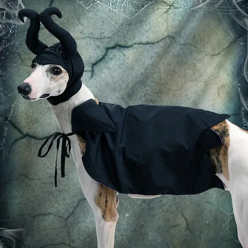 Halloween Witch-Shaped Costume cat Purple Vampire Cape Puppy Wizard Devil Horns Hat Pet Holiday Outfit for Small Middle-Sized Do Good Vibrations