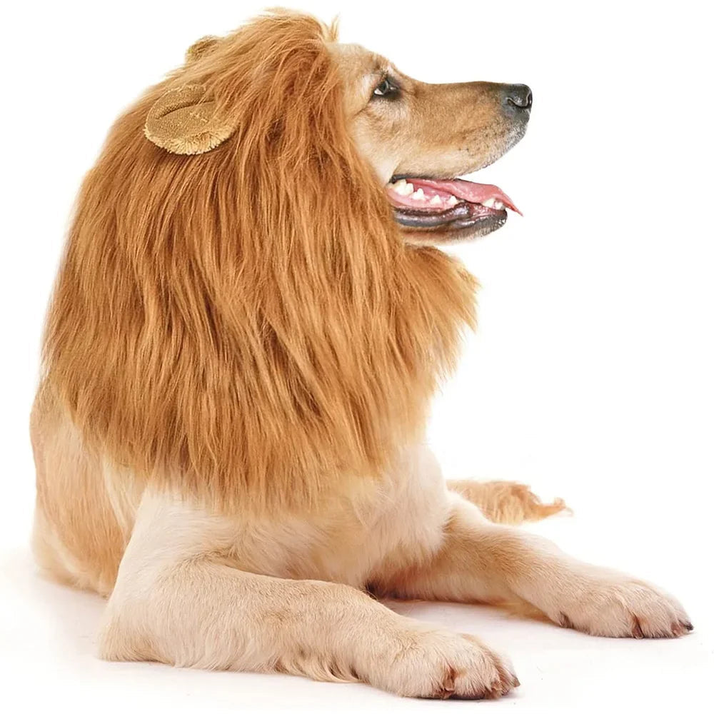 Cute Pet Dog Cosplay Clothes Lion Mane For Dog Costumes Realistic Lion Wig For Medium to Large Dogs With Ear Pet Accessories Good Vibrations
