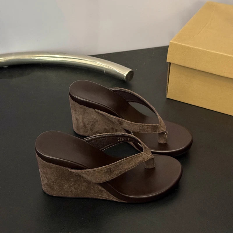 Wedges Women Slippers High Heels Clip Toe Fashion Shoes Designer Woman's Sandals Summer 2025 Flip Flops New Sandalias De Mujer Good Vibrations
