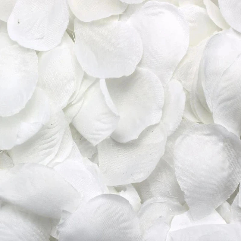 500 Rose petals scattered white decoration Wedding Party Good Vibrations