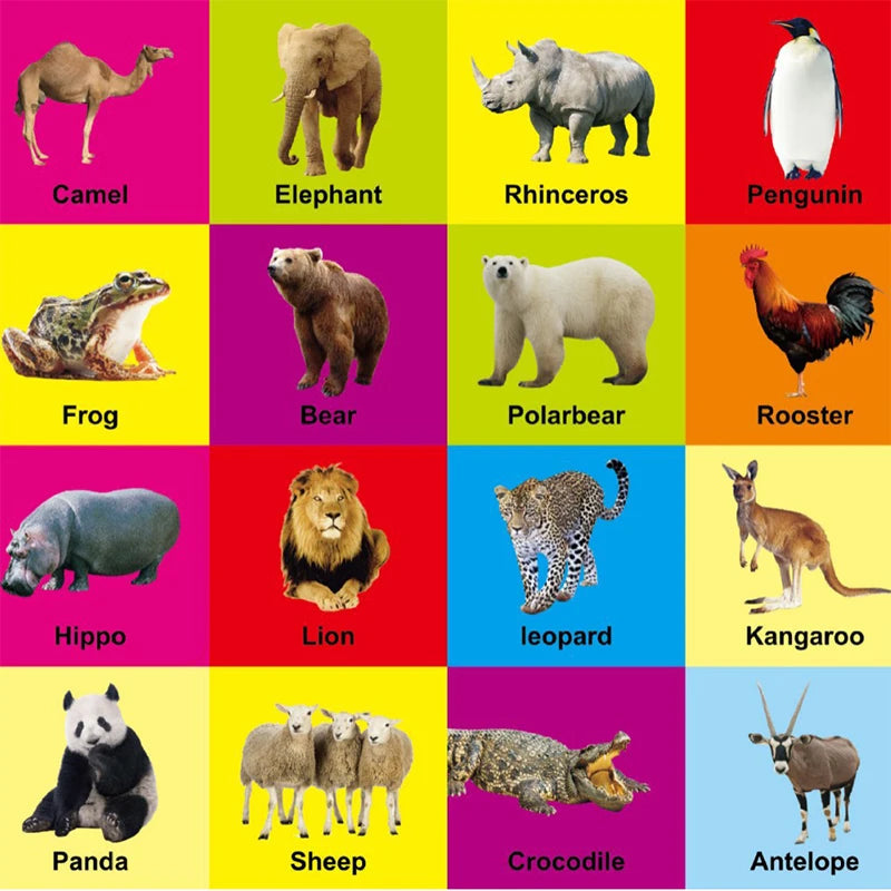 0-2 Years English Children Learning Cognitive Books Children's Enlightenment Books Children's Early Education Books Gifts Good Vibrations