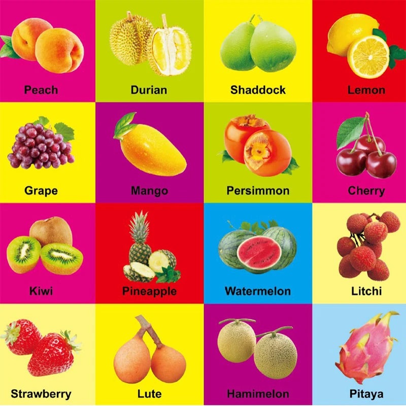 0-2 Years English Children Learning Cognitive Books Children's Enlightenment Books Children's Early Education Books Gifts Good Vibrations