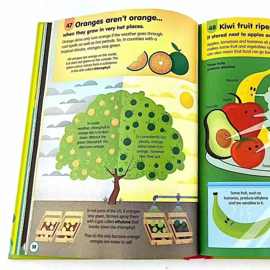 11 Books/Set 100 Things to Know About Hardcover Children Book in English Good Vibrations