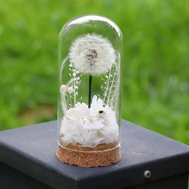 Popular Preserved Flower Gift with Glass Dome and Dandelion - Ideal for Mother's Day, Qixi, Valentine's, Birthdays & Weddings Good Vibrations