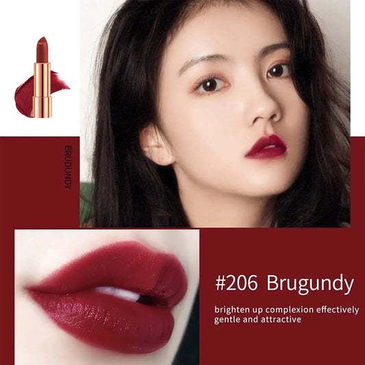 Matte Lipstick Set 3 Colors Lip Stick with Sliver Chain Bag Package Velvet Lip stick Gift Box Private Label Make Up 3.5gx3 Good Vibrations