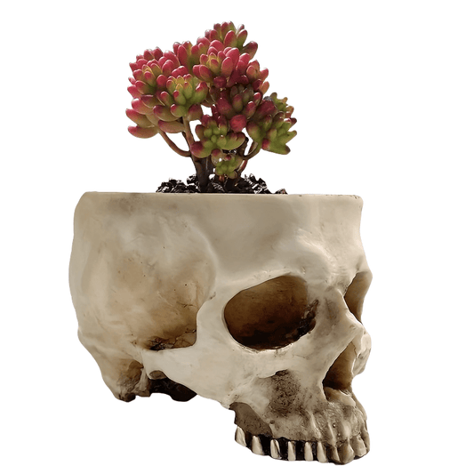 Halloween decoration retro human skull flower pot decoration ashtray Good Vibrations