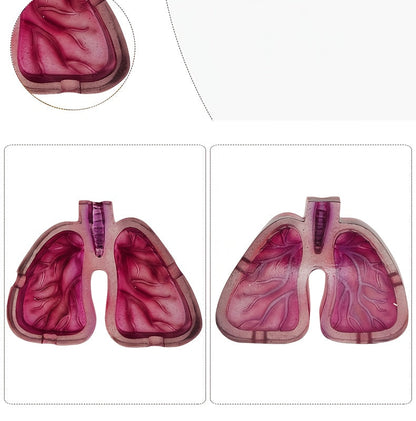 Room Decor 1pc Artistic Lung-Shaped Resin Ashtray, Creative Home Office Decorative Gift, Smoking Room Accessory Good Vibrations Adult Super Store