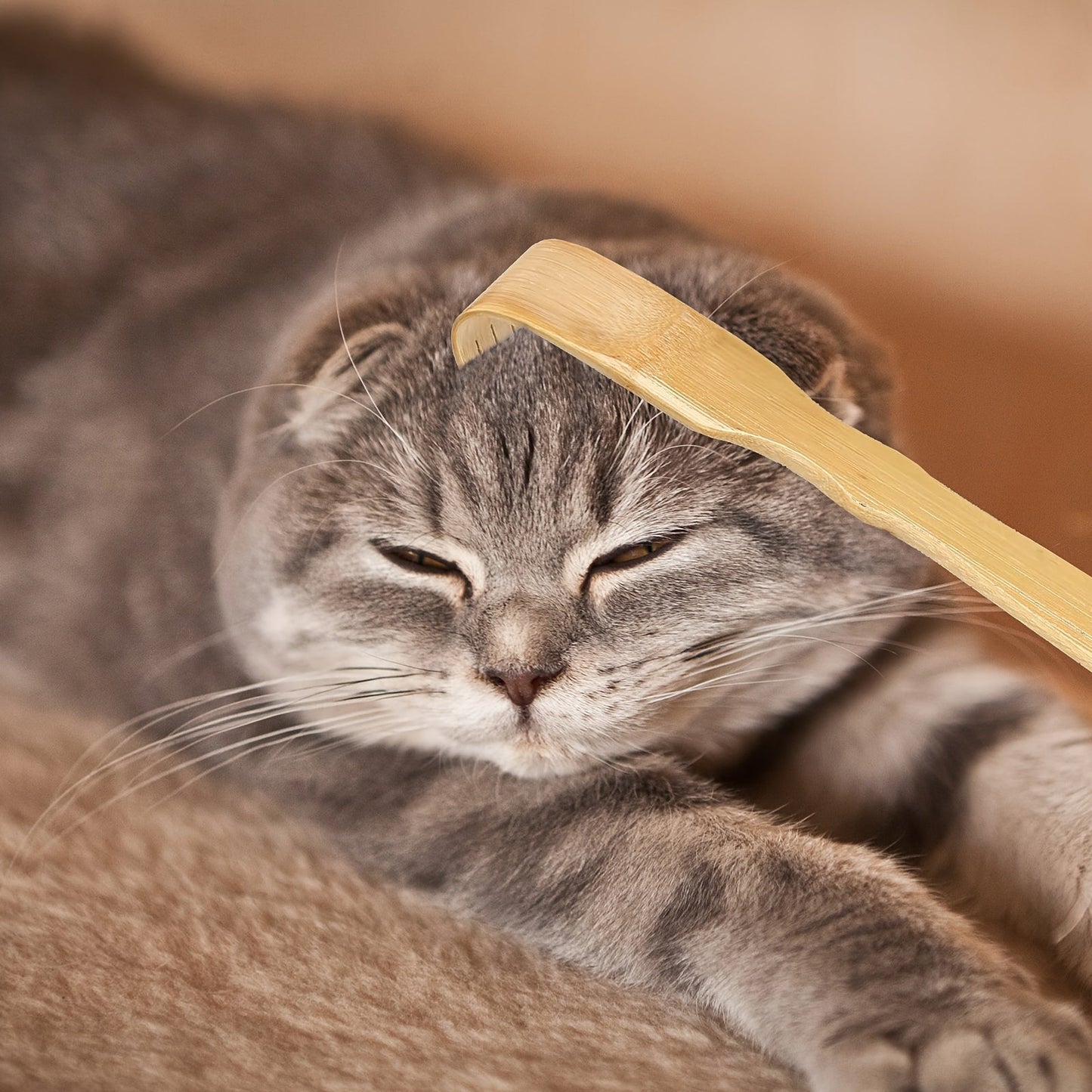 3pcs 18.3 inch Bamboo Back Scratcher with Long Handle, Portable Novel Gifts Good Vibrations