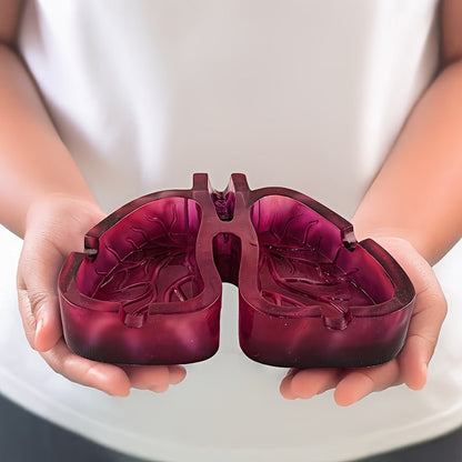 Room Decor 1pc Artistic Lung-Shaped Resin Ashtray, Creative Home Office Decorative Gift, Smoking Room Accessory Good Vibrations Adult Super Store