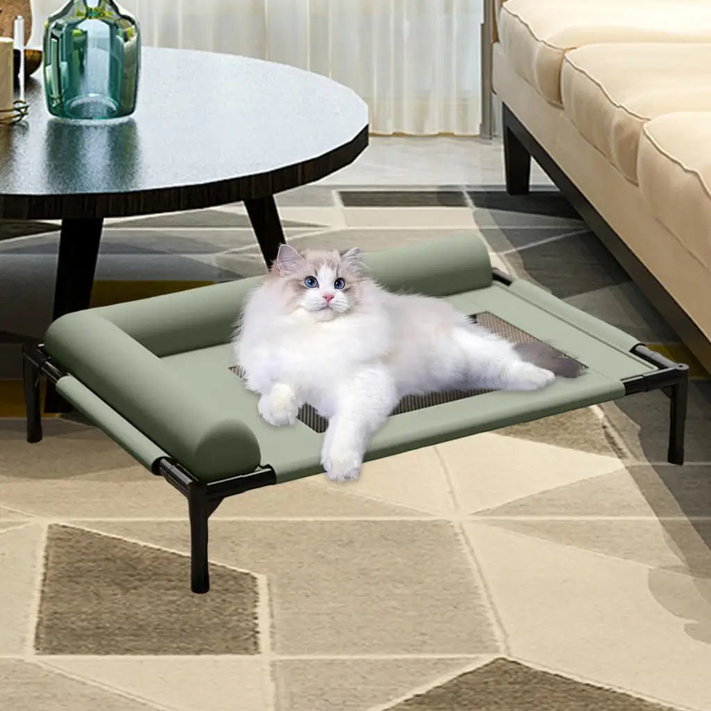 Elevated Pet Bed Durability Practical with Pillow for Small Pets Dogs Kitten Cat Dog Bed Dog Cat Bed Portable Good Vibrations
