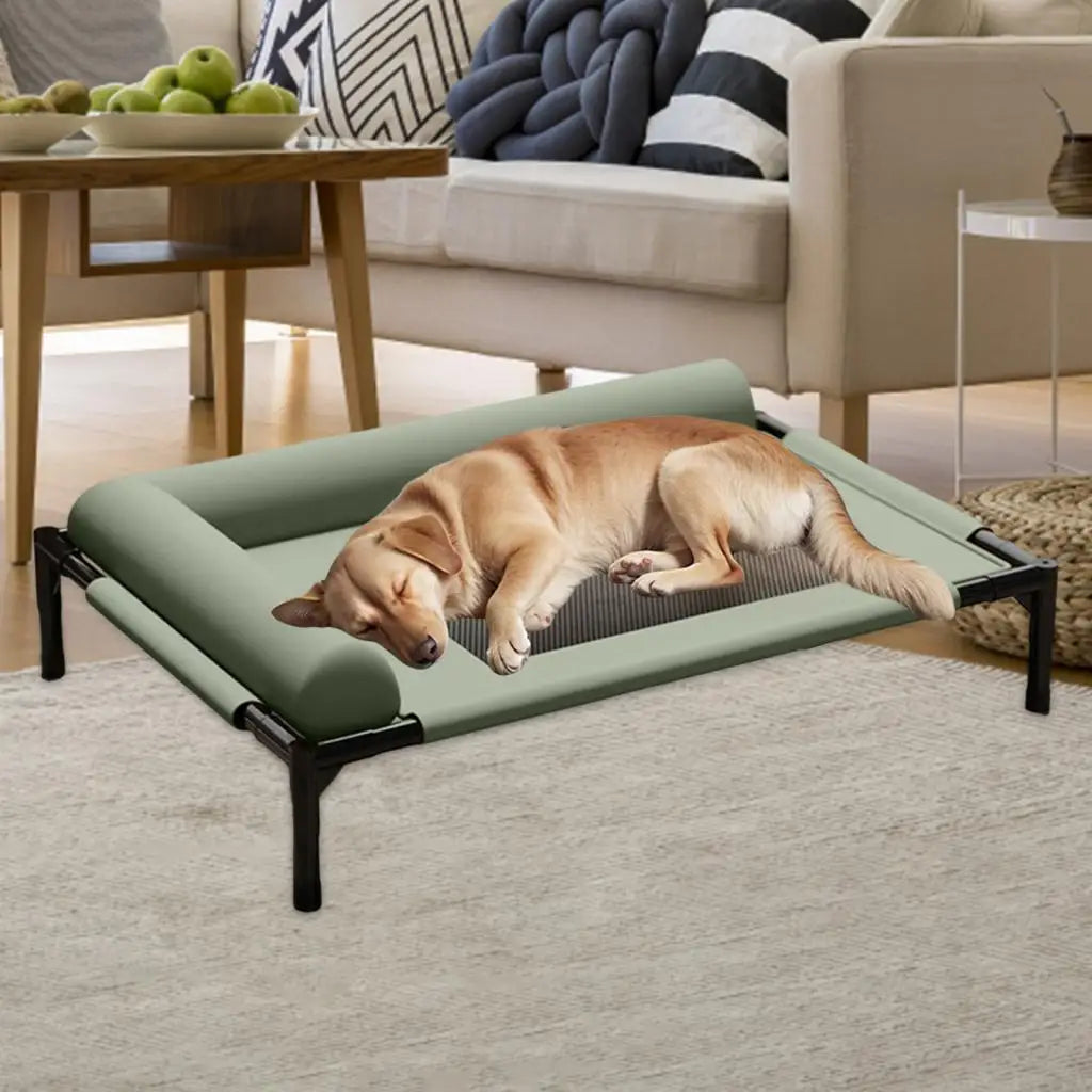 Elevated Pet Bed Durability Practical with Pillow for Small Pets Dogs Kitten Cat Dog Bed Dog Cat Bed Portable Good Vibrations