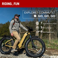 Best Selling Communter E Bike 750W Motor 48V 20Ah 960Wh 26inch Fat Tire Urban Electric Bike for Adult with US Stock Sale Price Good Vibrations