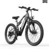 Aairsk 500W 20AH Custom Electric Bike 500W Electric Bike Electric Delivery Bike Electric Bike Electric US Free Shipping Good Vibrations