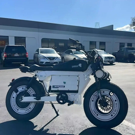 Retro Cruise Black Warrior 2025 Usa Stock Free Trial Ride 1500 City Fatbike Electric Bicycle Off Road Retro Electric Bike Good Vibrations