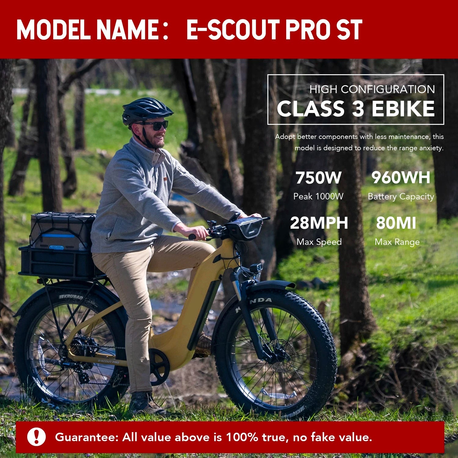Best Selling Communter E Bike 750W Motor 48V 20Ah 960Wh 26inch Fat Tire Urban Electric Bike for Adult with US Stock Sale Price Good Vibrations