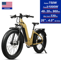Best Selling Communter E Bike 750W Motor 48V 20Ah 960Wh 26inch Fat Tire Urban Electric Bike for Adult with US Stock Sale Price Good Vibrations