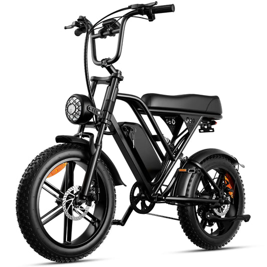 Hot Sale 1000W Fast Electric Bike for Adults, Fat Tire Electric Dirt Mountain Bike, Electric Bikes on Sale E Bike Good Vibrations
