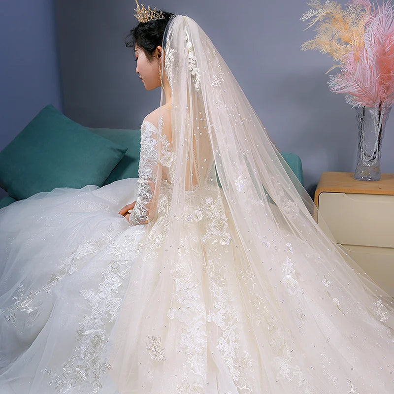 Feishiluo Luxury One-Layer 350 cm Long Cathedral Full Flower Lace Wedding Veil Comb Bead Diamond Bridal Veil Good Vibrations