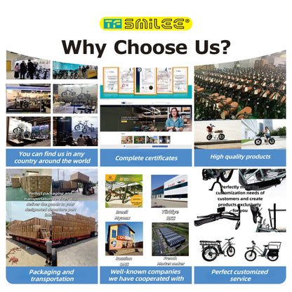 250W Fast Electric Bike for Adults, Foldable Fat Tire Sports & Chopper Ebike, Electric City Road Bike Conversion Kit Good Vibrations