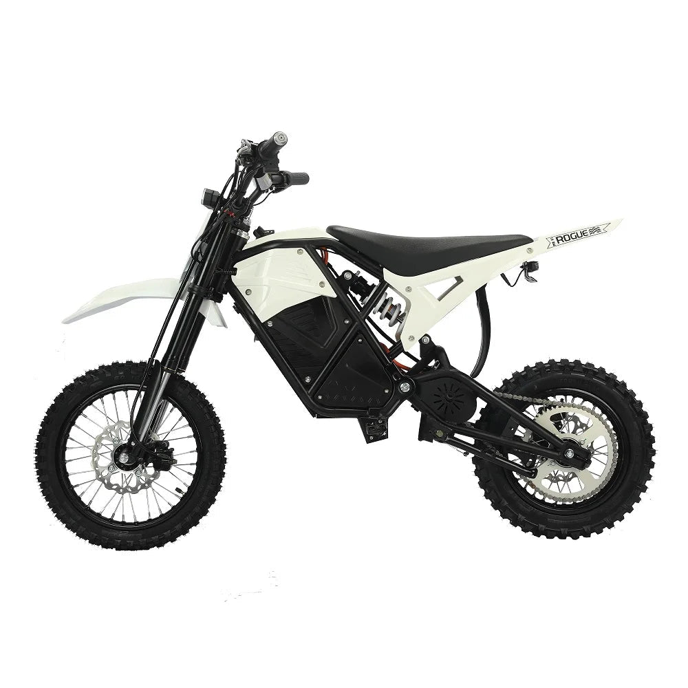 2000W 200N.M High Torque Adults Teenager 48V Dirt Bicycle Electric Bike with Hydraulic Dis Brake Good Vibrations