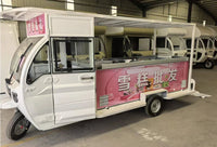 Wholesale 48V Classic Electric Cargo Tricycle Ice Cream Tricycle Food Tricycle with Private Label Good Vibrations