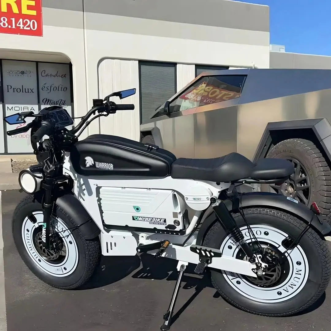 Retro Cruise Black Warrior 2025 Usa Stock Free Trial Ride 1500 City Fatbike Electric Bicycle Off Road Retro Electric Bike Good Vibrations