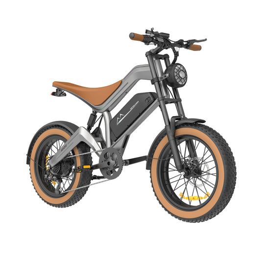 750W Rear Hub Motor Electric Bike with Full Suspension Fast Road Dirt-Fat Tire Integrated 48V Lithium Battery Ebike Good Vibrations