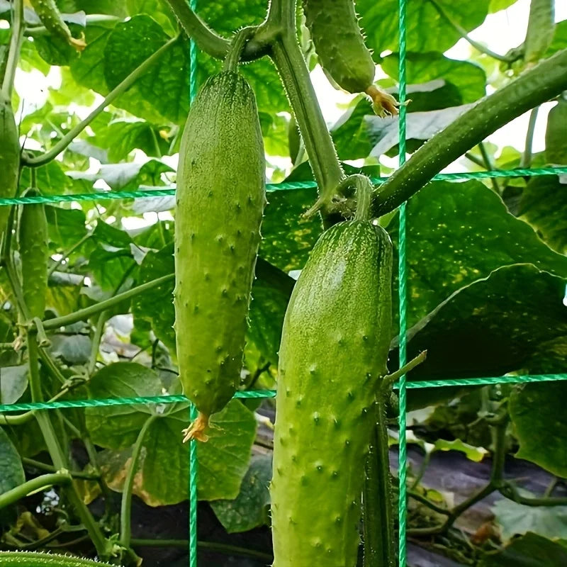 48'x48'Tall Bed Cucumber Trellis,foldable A-frame Garden Trellis,suitable for Outdoor Climbing Nets,vegetable Trellis Good Vibrations