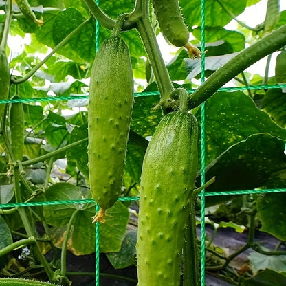 48'x48'Tall Bed Cucumber Trellis,foldable A-frame Garden Trellis,suitable for Outdoor Climbing Nets,vegetable Trellis Good Vibrations