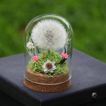 Popular Preserved Flower Gift with Glass Dome and Dandelion - Ideal for Mother's Day, Qixi, Valentine's, Birthdays & Weddings Good Vibrations