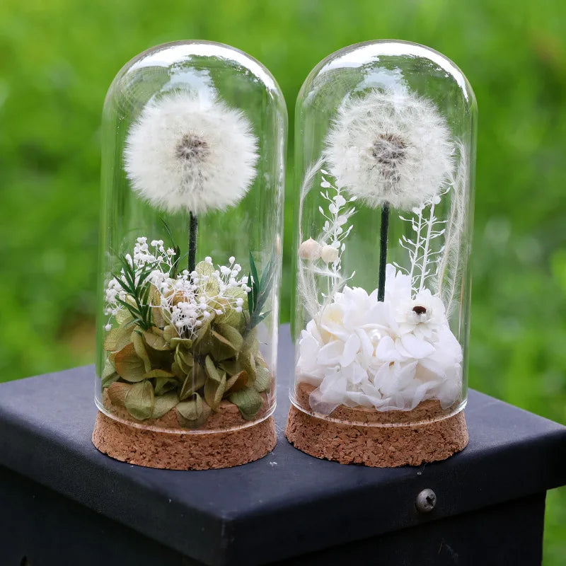 Popular Preserved Flower Gift with Glass Dome and Dandelion - Ideal for Mother's Day, Qixi, Valentine's, Birthdays & Weddings Good Vibrations