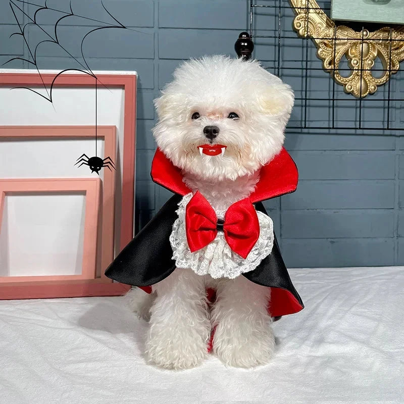 Halloween Pet Costumes Cosplay Vampire Cloak For Small Dog Cat Kitten Puppy Dress Kawaii Pet Clothes Cat Accessoties Gift Good Vibrations