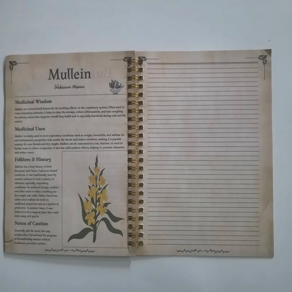 Tincture Recipes Book The Apothecary Collection Of Natural Remedles Guide To Herbal Remedies Notebook Good Vibrations