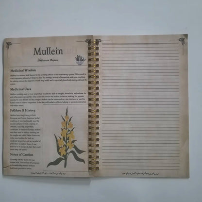 Tincture Recipes Book The Apothecary Collection Of Natural Remedles Guide To Herbal Remedies Notebook Good Vibrations