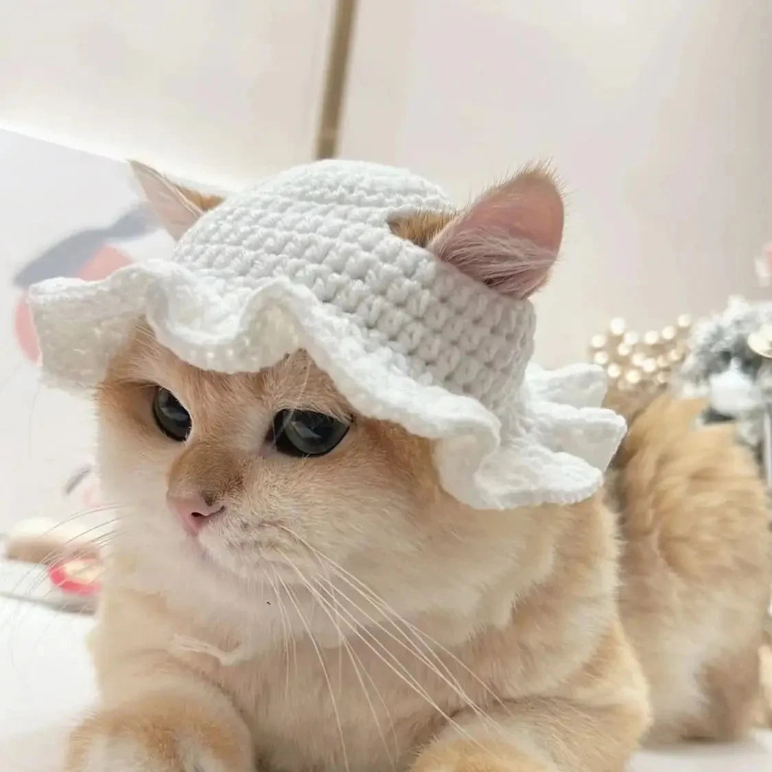 Cute Cat Hat Funny Pets Party Cosplay Headwear Delicate Hemming Pendant Decor Elasticity Knitted Hat Pet Accessories Good Vibrations