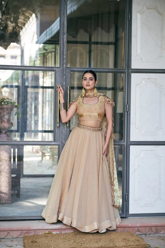 Designer Bridal Lehnga Choli for Girls Party Wear Wedding Dresses Low Price Indian Lehenga Choli With Dupatta 2026 for Women Good Vibrations