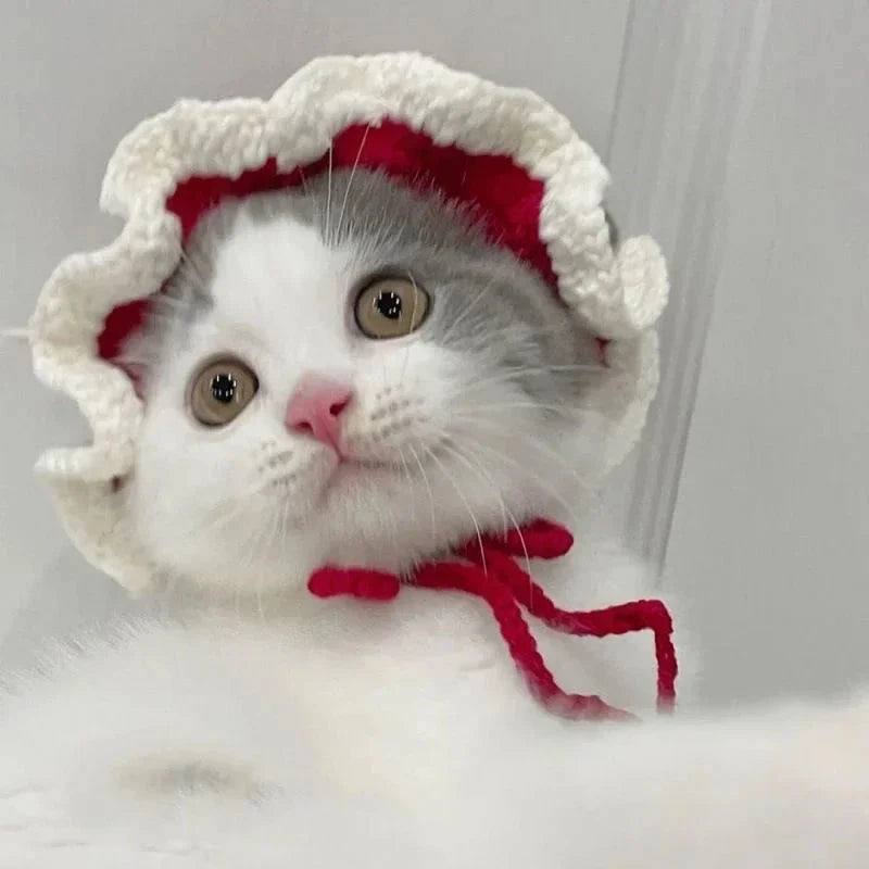 Cute Cat Hat Funny Pets Party Cosplay Headwear Delicate Hemming Pendant Decor Elasticity Knitted Hat Pet Accessories Good Vibrations