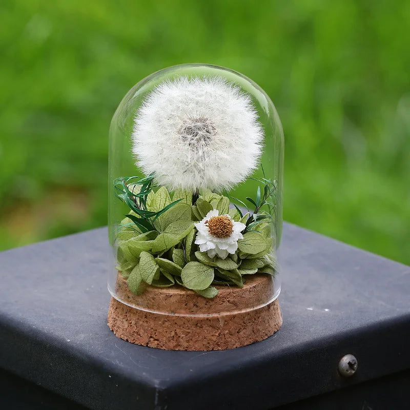 Popular Preserved Flower Gift with Glass Dome and Dandelion - Ideal for Mother's Day, Qixi, Valentine's, Birthdays & Weddings Good Vibrations