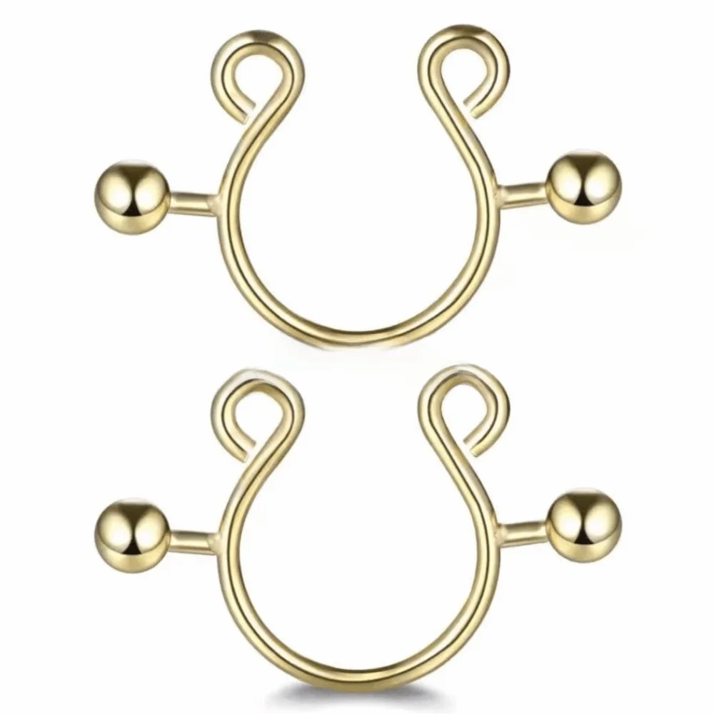 2pcs/set Steel Nipple Clip Rings Round Screw Faux Nipple Faux Nipple Shield Fashion Accessory Clip Design Good Vibrations