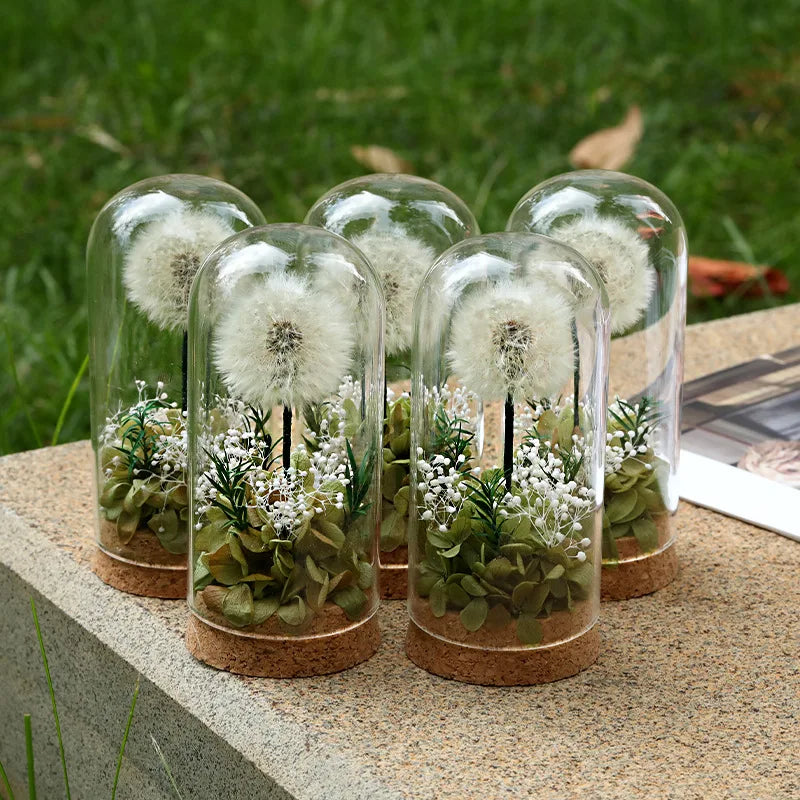 Popular Preserved Flower Gift with Glass Dome and Dandelion - Ideal for Mother's Day, Qixi, Valentine's, Birthdays & Weddings Good Vibrations