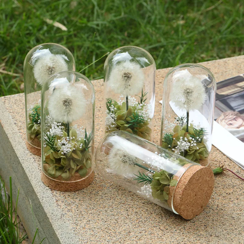 Popular Preserved Flower Gift with Glass Dome and Dandelion - Ideal for Mother's Day, Qixi, Valentine's, Birthdays & Weddings Good Vibrations