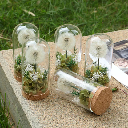 Popular Preserved Flower Gift with Glass Dome and Dandelion - Ideal for Mother's Day, Qixi, Valentine's, Birthdays & Weddings Good Vibrations