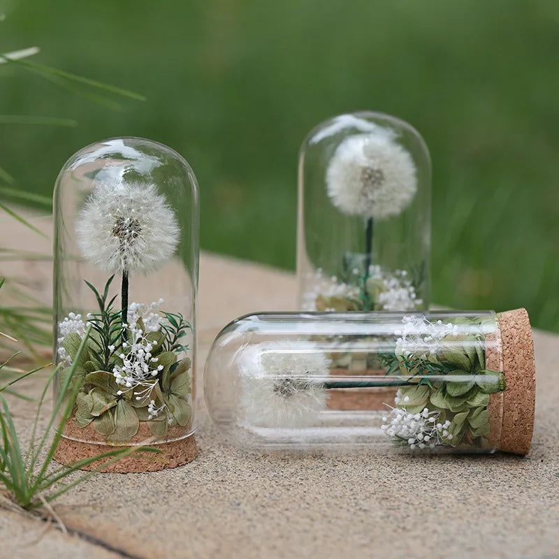 Popular Preserved Flower Gift with Glass Dome and Dandelion - Ideal for Mother's Day, Qixi, Valentine's, Birthdays & Weddings Good Vibrations