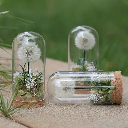 Popular Preserved Flower Gift with Glass Dome and Dandelion - Ideal for Mother's Day, Qixi, Valentine's, Birthdays & Weddings Good Vibrations