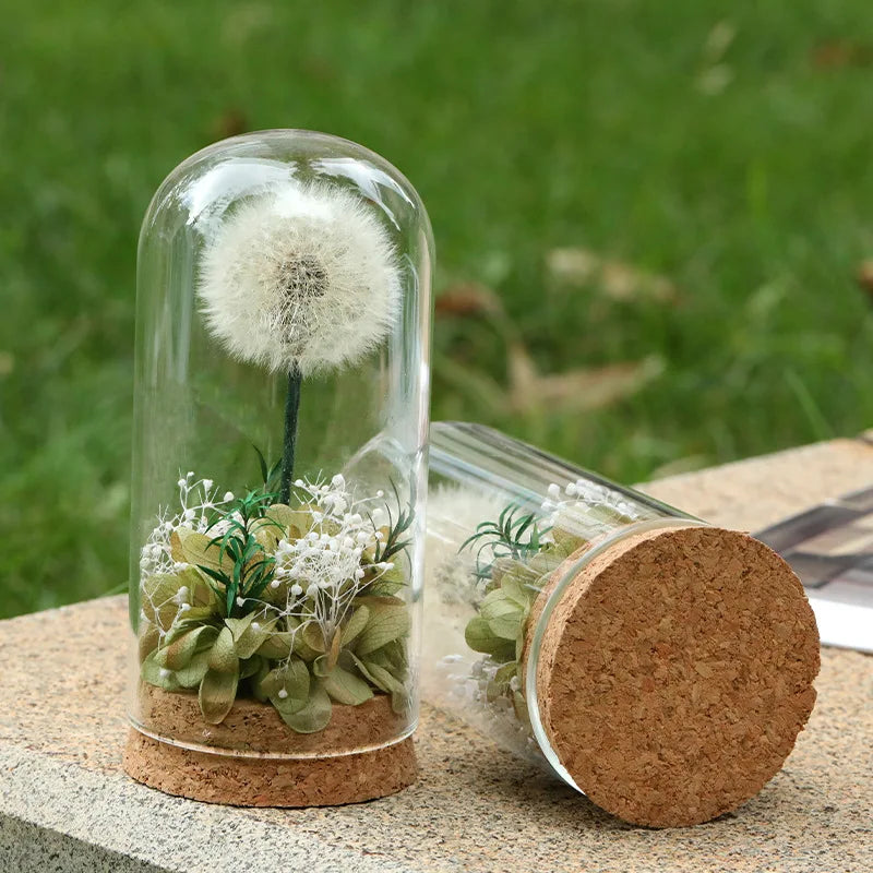 Popular Preserved Flower Gift with Glass Dome and Dandelion - Ideal for Mother's Day, Qixi, Valentine's, Birthdays & Weddings Good Vibrations