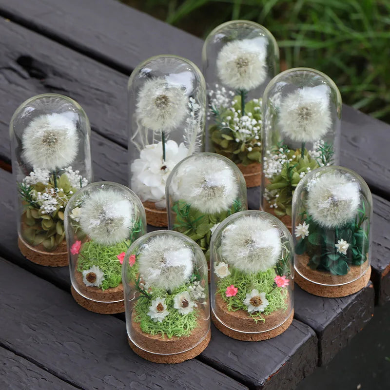 Popular Preserved Flower Gift with Glass Dome and Dandelion - Ideal for Mother's Day, Qixi, Valentine's, Birthdays & Weddings Good Vibrations