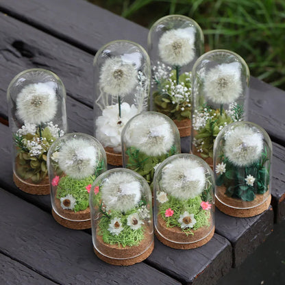 Popular Preserved Flower Gift with Glass Dome and Dandelion - Ideal for Mother's Day, Qixi, Valentine's, Birthdays & Weddings Good Vibrations
